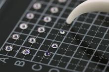 Micro Sphere Lenses