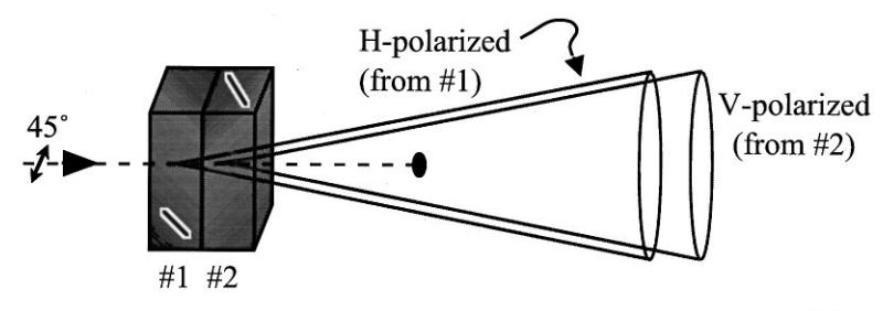 principle of polarization entanglement